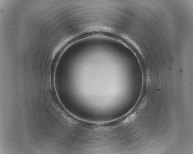 X0000073730877200608031327