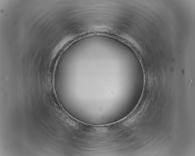 X0000073730878200608031327