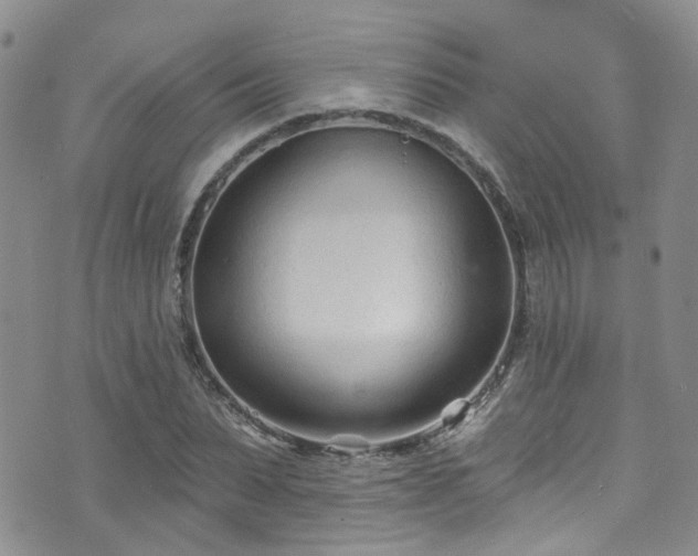 X0000073730879200608031327