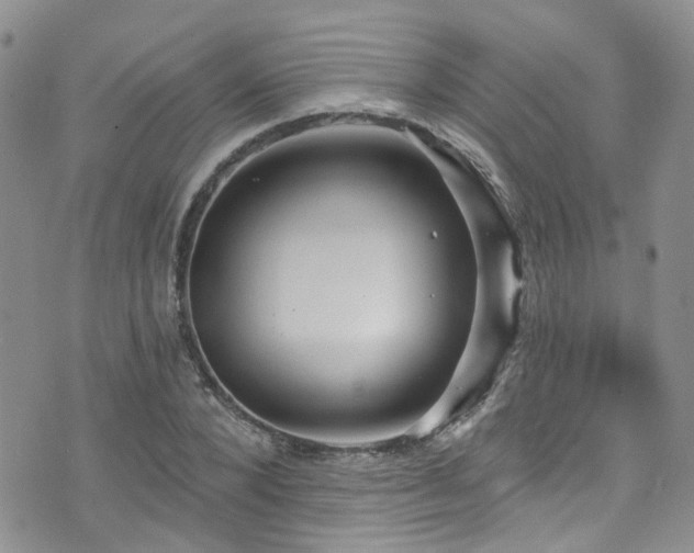 X0000073730880200608031327