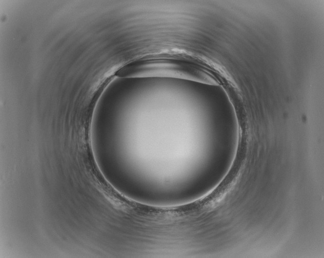 X0000073730881200608031327