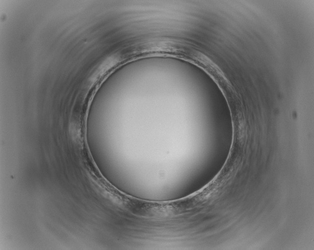 X0000073730882200608031327