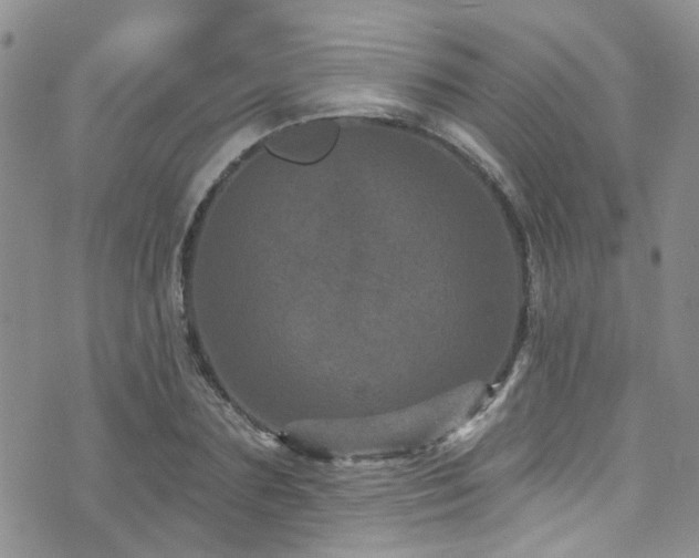 X0000073730883200608031327