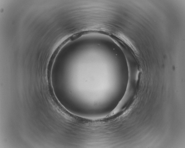 X0000073730884200608031327