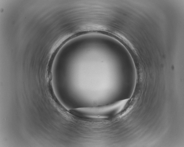 X0000073730885200608031327