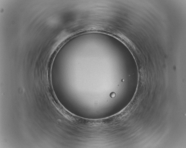 X0000073730886200608031327