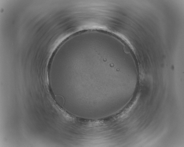 X0000073730887200608031327