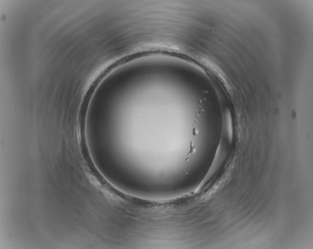 X0000073730888200608031327