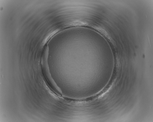 X0000073730889200608031327