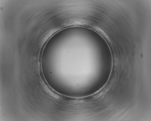 X0000073730890200608031327