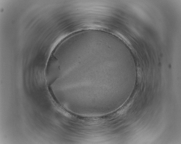 X0000073730891200608031327