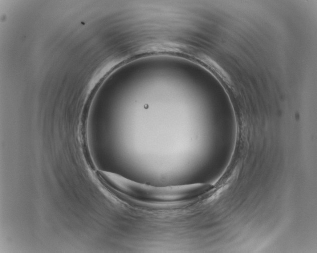 X0000073730893200608031327