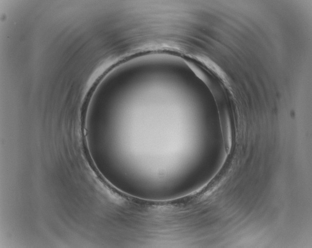 X0000073730894200608031327