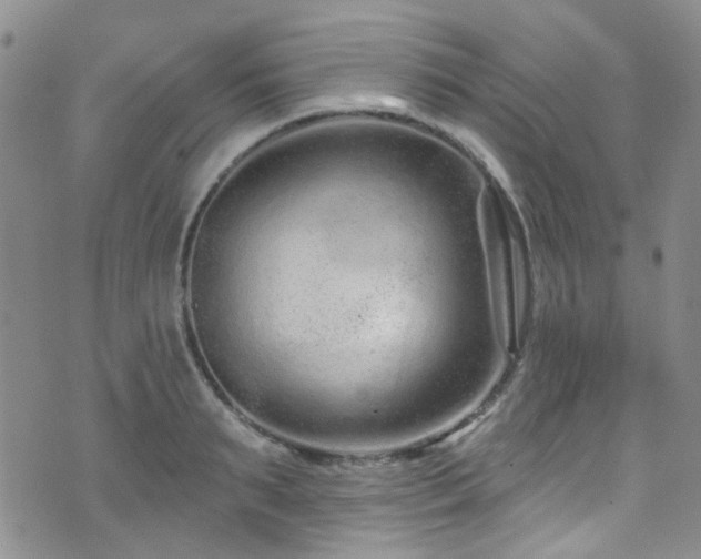 X0000073730895200608031327