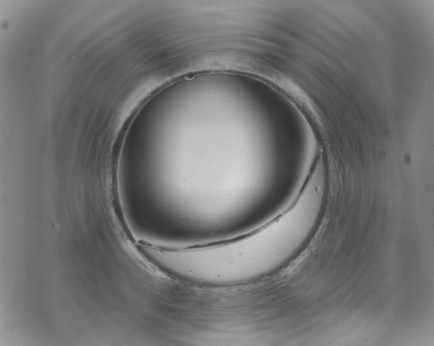 X0000073730896200608031327