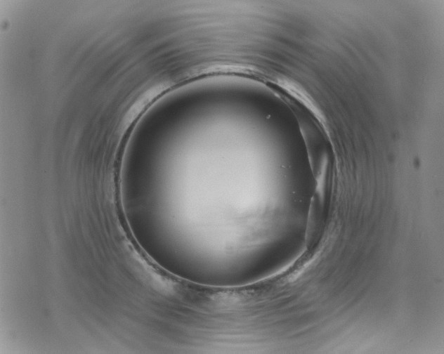 X0000073730898200608031327