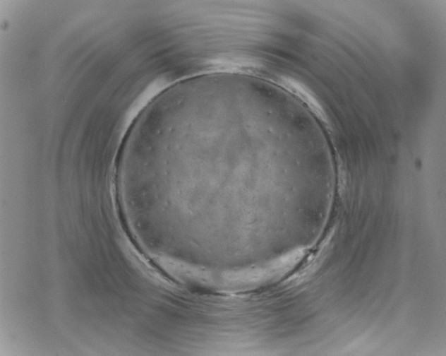 X0000073730899200608031327