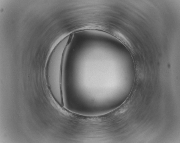 X0000073730900200608031327