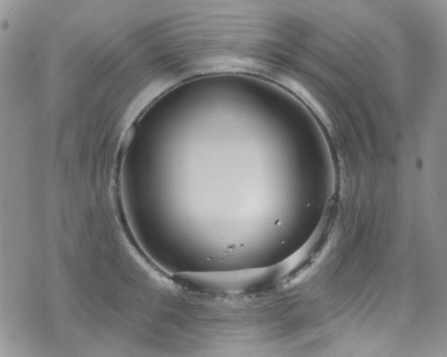 X0000073730901200608031327