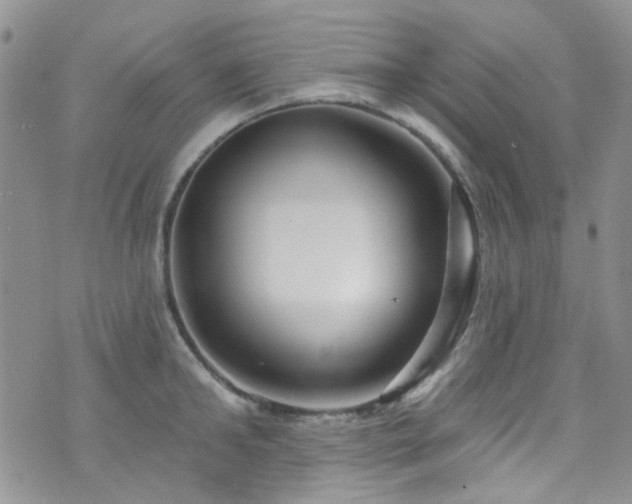 X0000073730902200608031327