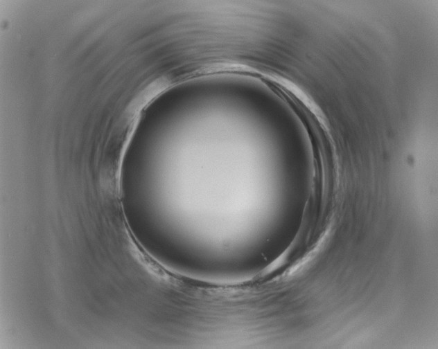 X0000073730905200608031326