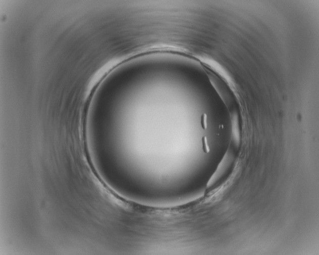 X0000073730910200608031326