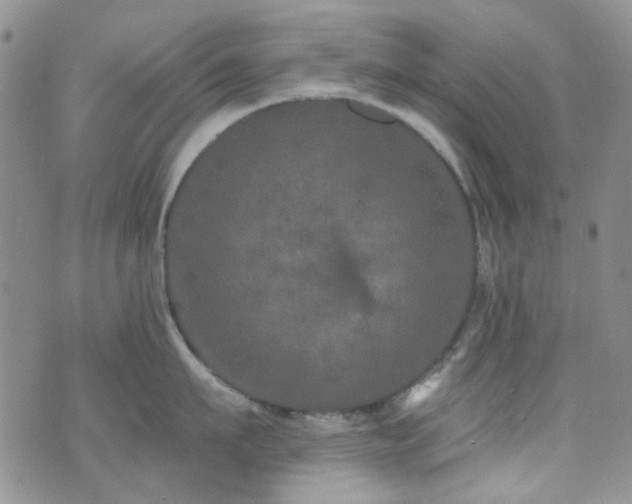 X0000073730911200608031326