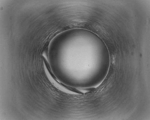 X0000073730915200608031326