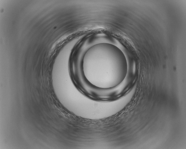 X0000073730920200608031326