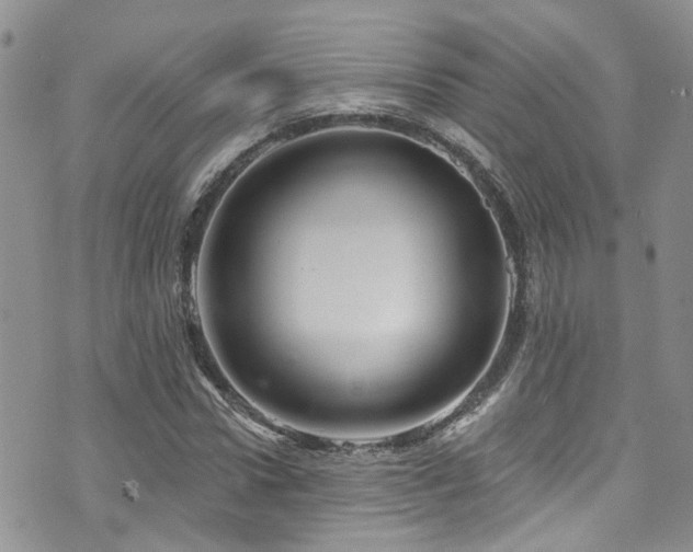 X0000073730922200608031326