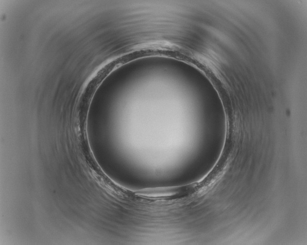 X0000073730923200608031326