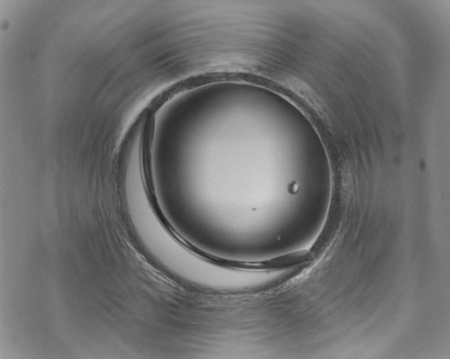 X0000073730926200608031326