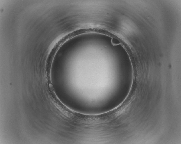 X0000073730927200608031326