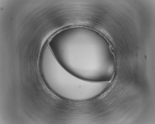 X0000073730928200608031326