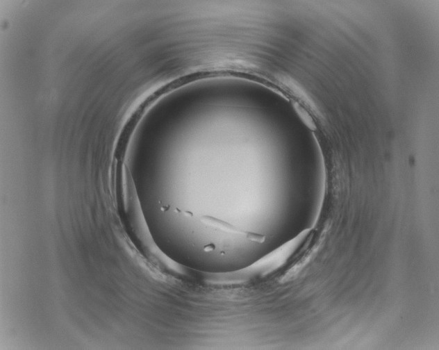 X0000073730932200608031326