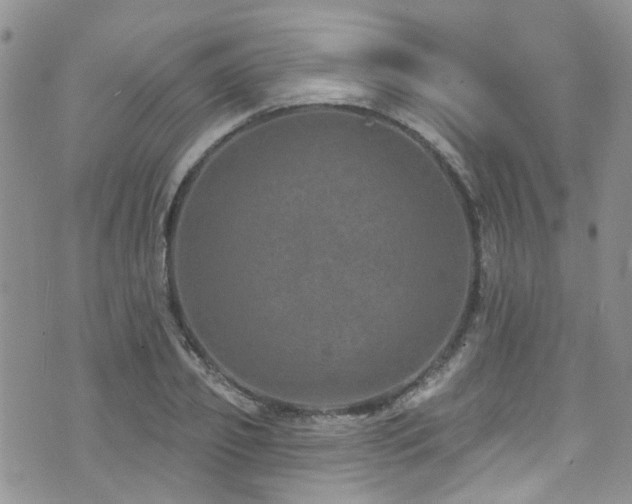 X0000073730933200608031326