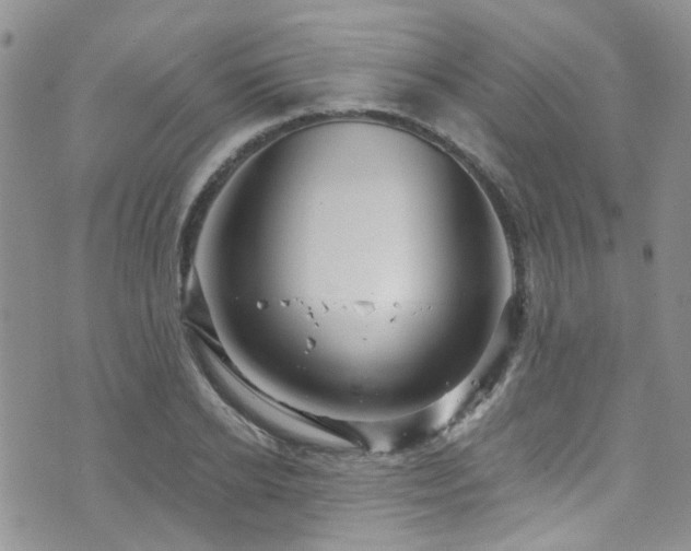 X0000073730934200608031326