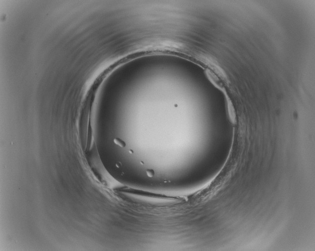 X0000073730936200608031326