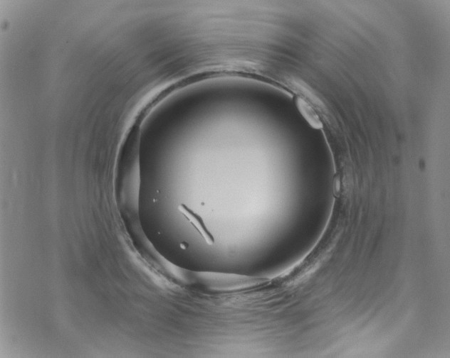 X0000073730940200608031326