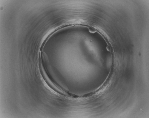 X0000073730941200608031326