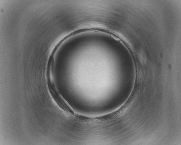 X0000073730943200608031326