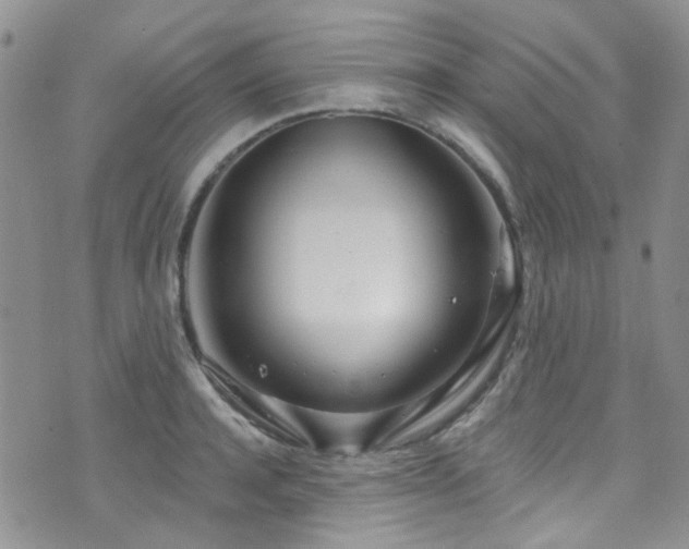 X0000073730944200608031326