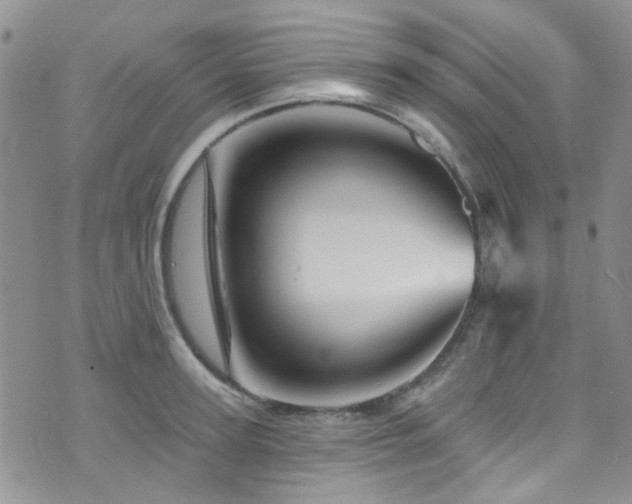 X0000073730947200608031326