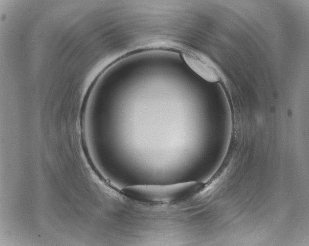 X0000073730951200608031326