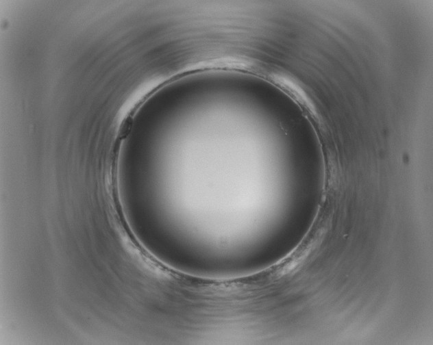 X0000073730952200608031326