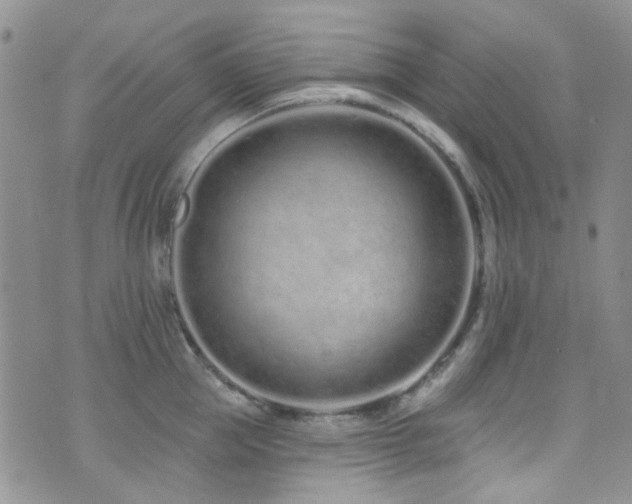 X0000073730953200608031326