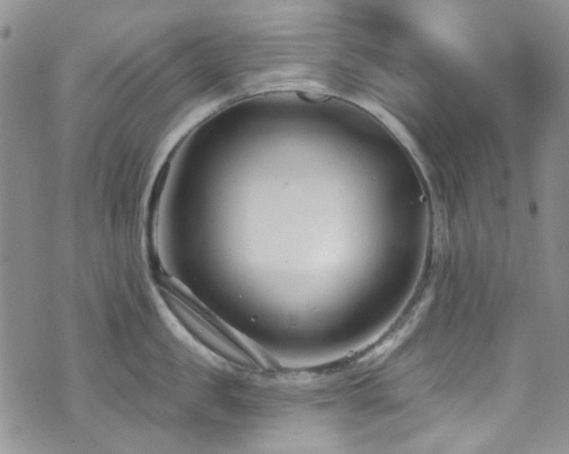 X0000073730957200608031326