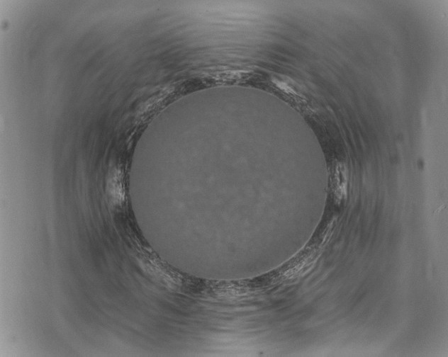 X0000073730962200608031326