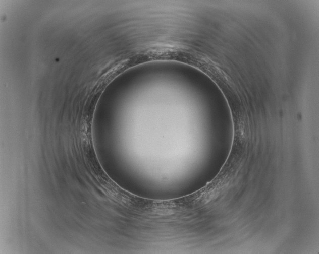 X0000073730964200608031326