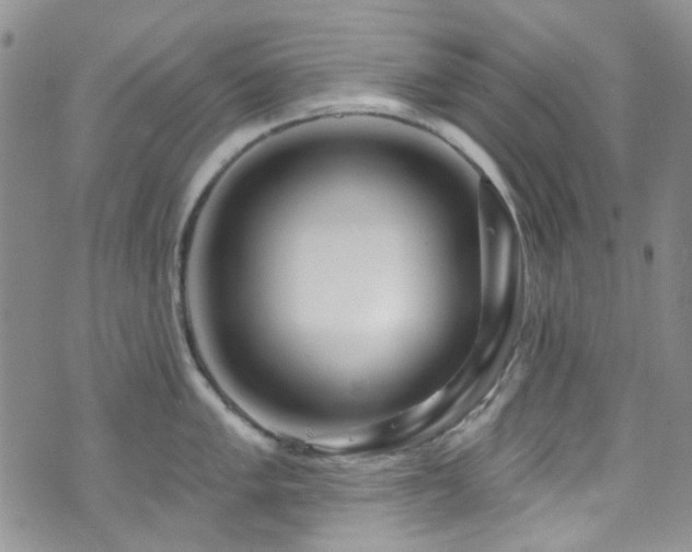 X0000073731005200608031325